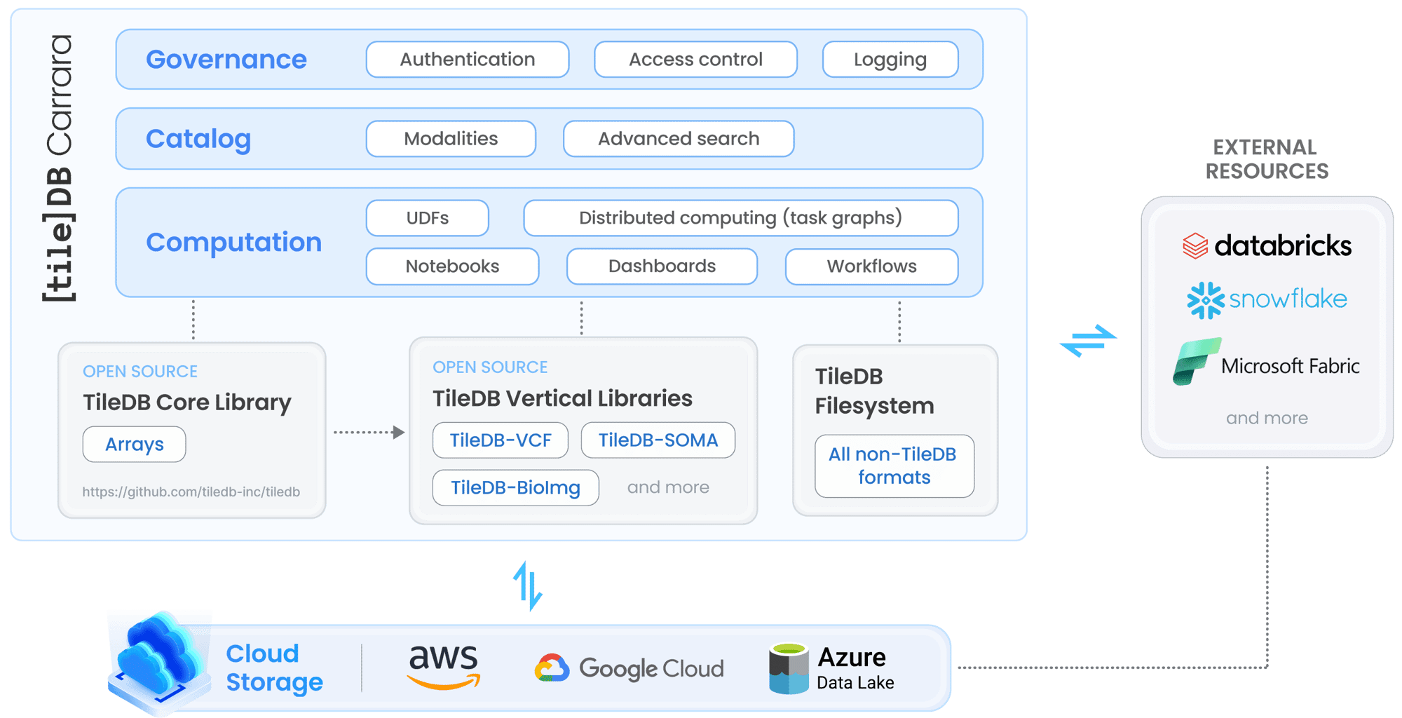 TileDB Carrara - Architecture