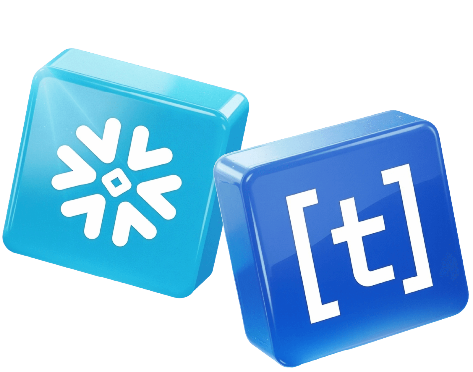 TileDB-x-Snowflake